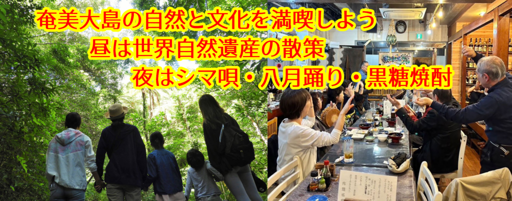 【奄美大島の自然と文化を満喫】金作原原生林散策ツア－＆シマ唄、島料理飲み放題